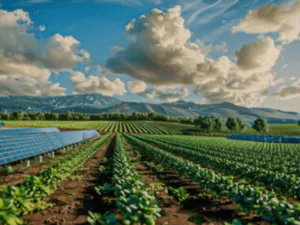 pannelli fotovoltaici in un campo agricolo