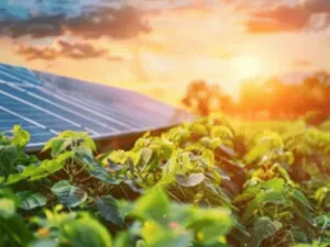 pannelli fotovoltaici in un campo agricolo